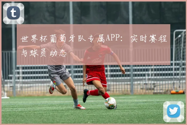 世界杯葡萄牙队专属APP：实时赛程与球员动态