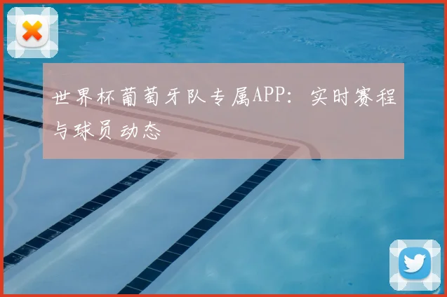 世界杯葡萄牙队专属APP：实时赛程与球员动态